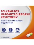 ALGOFLEX IZOM + ÍZÜLET 300 mg retard kemény kapszula 30 db