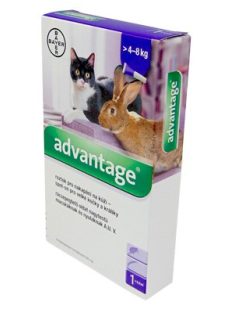   Advantage-80, rácsepegtető oldat macskáknak és nyulaknak 4-8kg 4x0.8ml