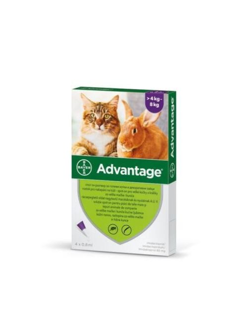 Advantage-80, rácsepegtető oldat macskáknak és nyulaknak 4-8kg 4x0.8ml